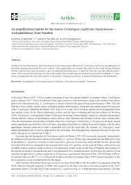 Image result for Periglossum mackenii