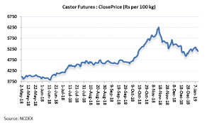 castor seed lower output to support castor seed price this