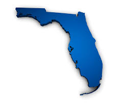 Check spelling or type a new query. Why You Need A Florida Licensed Process Server