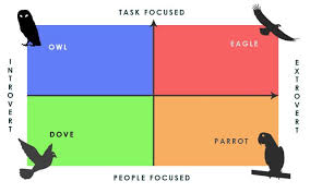 designing websites using disc analysis