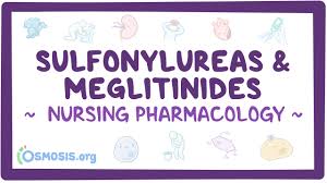 Image result for Meglitinide