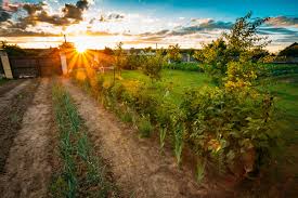 Wird der garten mitvermietet, ist es üblich und erlaubt, die gartenpflege auf den mieter zu übertragen (lg köln soweit der mieter zum ausgleich für die geringere miete die gartenpflege übernimmt, ist. Einen Garten Mieten Ideen Angebote In Der Umgebung