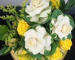All of our beautiful bouquets are designed and assembled with care. Fresh Flower Delivery L Weekly Monthly Flower Subscriptions Ireland