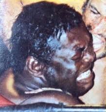 Finally, ten years later he was inducted into the professional wrestling hall of fame and museum. Bobo Brazil Wikipedia