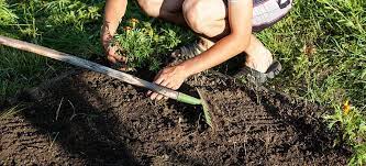Check spelling or type a new query. How To Improve Soil Water Retention