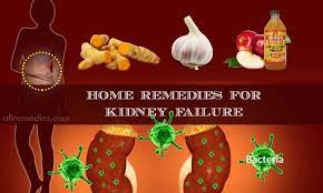 Home Remedies For Kidney Failure Show 16 Ways To Treat Kidney Failure Effectively At Home Kidney Failure Remedies For Kidney Infection Kidney Infection