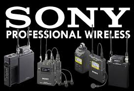 I'll Still Have You, Sony, Boy