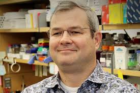 CNPD3 Seminar Series