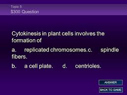 Cytokinesis in plants involves the formation of unique cellular structures such as the phragmoplast and the cell plate, both of which plants have adopted a unique mechanism of separating daughter cells in mitosis. Chapter 6 Chromosomes And Mitosis Ppt Video Online Download