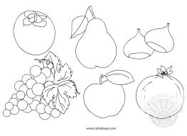 Frutta Autunno Da Colorare Tuttodisegnicom