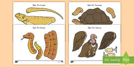 Hp thanks crayola for their extraordinary coloring pages. Desert Animals Coloring Sheets Classroom Resource Twinkl