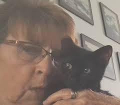 Rescued black cat introduction