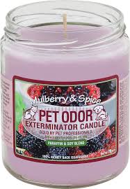 Specialty pet products pet odor exterminator candle. Pet Odor Exterminator Candle Mulberry Spice