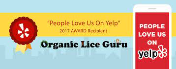 Organic Lice Guru Lice Removal Treatment San Diego To San Francisco