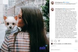 My dog broke her tooth. How Banfield Pet Hospital Is Responding To The Veterinary Industry S Mental Health Crisis Pr Week