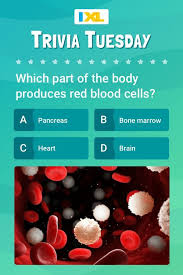 Uncover amazing facts as you test your christmas trivia knowledge. Cellular Biology Trivia Tuesday In 2021 Trivia Tuesday Plant And Animal Cells Learning Science