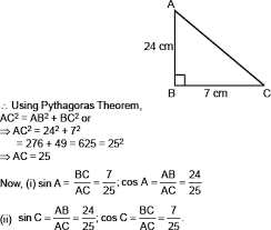 Ap human geography chapter 3 key issue 4. Cbse 10 Math Cbse Introduction To Trigonometry Ncert Solutions