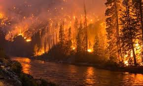 Des dizaines de civils et de militaires déclarés morts plus de 40 personnes, dont 25 soldats, sont mortes dans les incendies de forêt qui ont éclaté à l'est de la capitale algérienne, a déclaré le premier ministre du pays, ayman benabderrahmane. Algerie Des Feux De Foret Declarees Dans Plusieurs Regions Yeclo Com