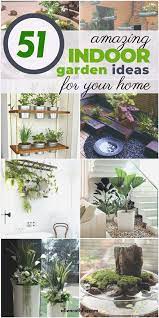 51 Of The Best Indoor Garden Ideas For This Year A Nest With A Yard Indoor Garden Indoor Plants Indoor Water Garden