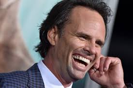 Fallout: Amazon's Bethesda game TV series casts Walton Goggins