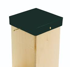 Poteau bois carré pour palissade bois 7x7 cm idéal pour la construction de palissades en bois autoclave. Sculpture Portable Couronne Chapeaux De Poteaux 7x7 Penny Illustrer Veuillez Confirmer