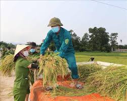 Check spelling or type a new query. VÄ©nh Phuc Can Bá»™ Chiáº¿n SÄ© Cong An Giup Dan Gáº·t Lua Mua áº£nh Thá»i Sá»± Trong NÆ°á»›c VÄƒn Hoa Xa Há»™i Thong Táº¥n Xa Viá»‡t Nam Ttxvn