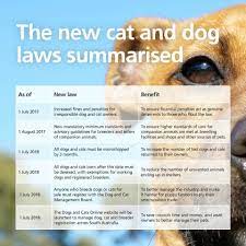It's free for the life of your pet and can be used by anyone with any brand of. Understand Sa S New Pet Microchipping Laws Good Living