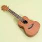 Ukulele Buddies at the Library