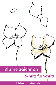 Pflanzen Zeichnen Schritt Fur Schritt Irislandschaften Ch Pflanzenzeichnung Zeichnen Schritt Fur Schritt Blumenzeichnung