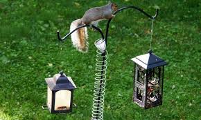 Profits directly support the parrot rescue centre services and programs. 10 Best Bird Feeder Poles Reviewed And Rated In 2021