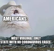 C g d the radio reminds me of my home far away. Country Roads Cat Memes Gifs Imgflip