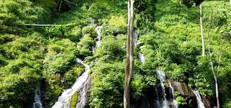 2020 top things to do in tomohon. Waterfall Bali Backpacker S Guidelines