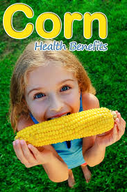 Calories in corn on cob without butter. Corn Health Benefits And Nutrition Facts