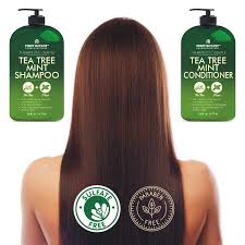 It is a herb that reduces hair loss and promotes hair simply massage the oil on the scalp regularly to prevent many scalp issues and to produce healthy, shiny, beautiful hair. Buy Tea Tree Mint Shampoo And Conditioner This Set Contains Pure Tea Tree Oil Peppermint Oil Fights Hair Loss Promotes Hair Growth Fights Dandruff Lice And Itchy Scalp