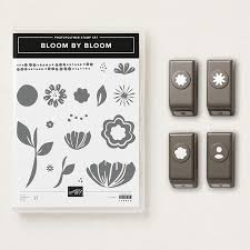 Afbeeldingsresultaat voor bloom by bloom stampin up