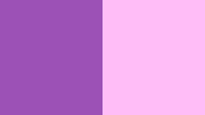 Naturally, people will associate pink and purple as being one of the classic feminine color combinations. Purple And Pink Color Scheme Pink Schemecolor Com