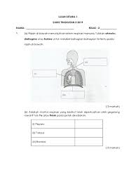 Ujian Setara 1 Sains Tingkatan 3 2018 Pdf