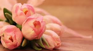Check spelling or type a new query. Best Flower Captions For Instagram 2021