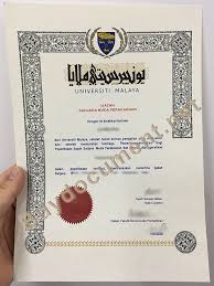 Yang lain bekerja untuk syarikat dan organisasi dan bertanggungjawab untuk. Buy Fake University Of Malaya Diploma Fake Degree In Johor Buydocument Net Buy Fake Diploma Buy Fake University Degree Buy Degree Buy Certificate Buy Fake Transcript