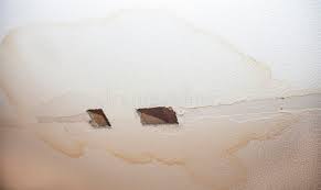 Check spelling or type a new query. 1 623 Ceiling Water Damage Photos Free Royalty Free Stock Photos From Dreamstime