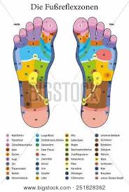 Foot Reflexology Vector Photo Free Trial Bigstock