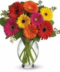 Gerbera daisies are fussy about watering. Gerber Daisy Vase Floral Arrangements French Florist Los Angeles Ca