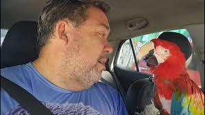 Un p'tit café avec toi et Jackson mon perroquet.