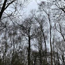 Elvetham heath local nature reserve and adjoining open spaces have been given a prestigious green flag award. Photos At Brereton Heath Local Nature Reserve 2 Tips From 50 Visitors