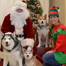 Check spelling or type a new query. Park Grove Pet Hospital Veterinarians 7663 79th St S Cottage Grove Mn Phone Number