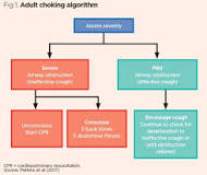Image result for foreign-body airway obstruction becomes unresponsive. what is your first course of action?