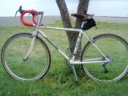 What's with the paint job? Bike Gallery 1992 Bridgestone Xo 1