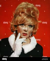 Stanley adams hi-res stock photography and images