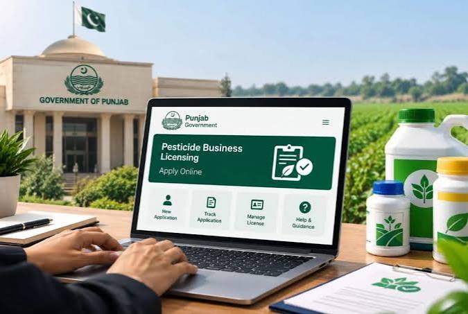 How to Apply for a Pesticide Dealer License in Punjab