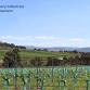 Farm business resilience program - viticulture transition